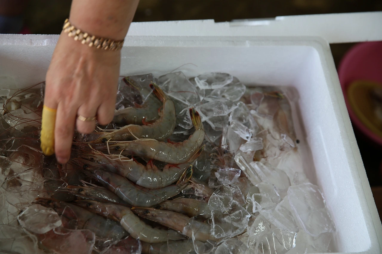 MG0A9389_новый размер.JPG