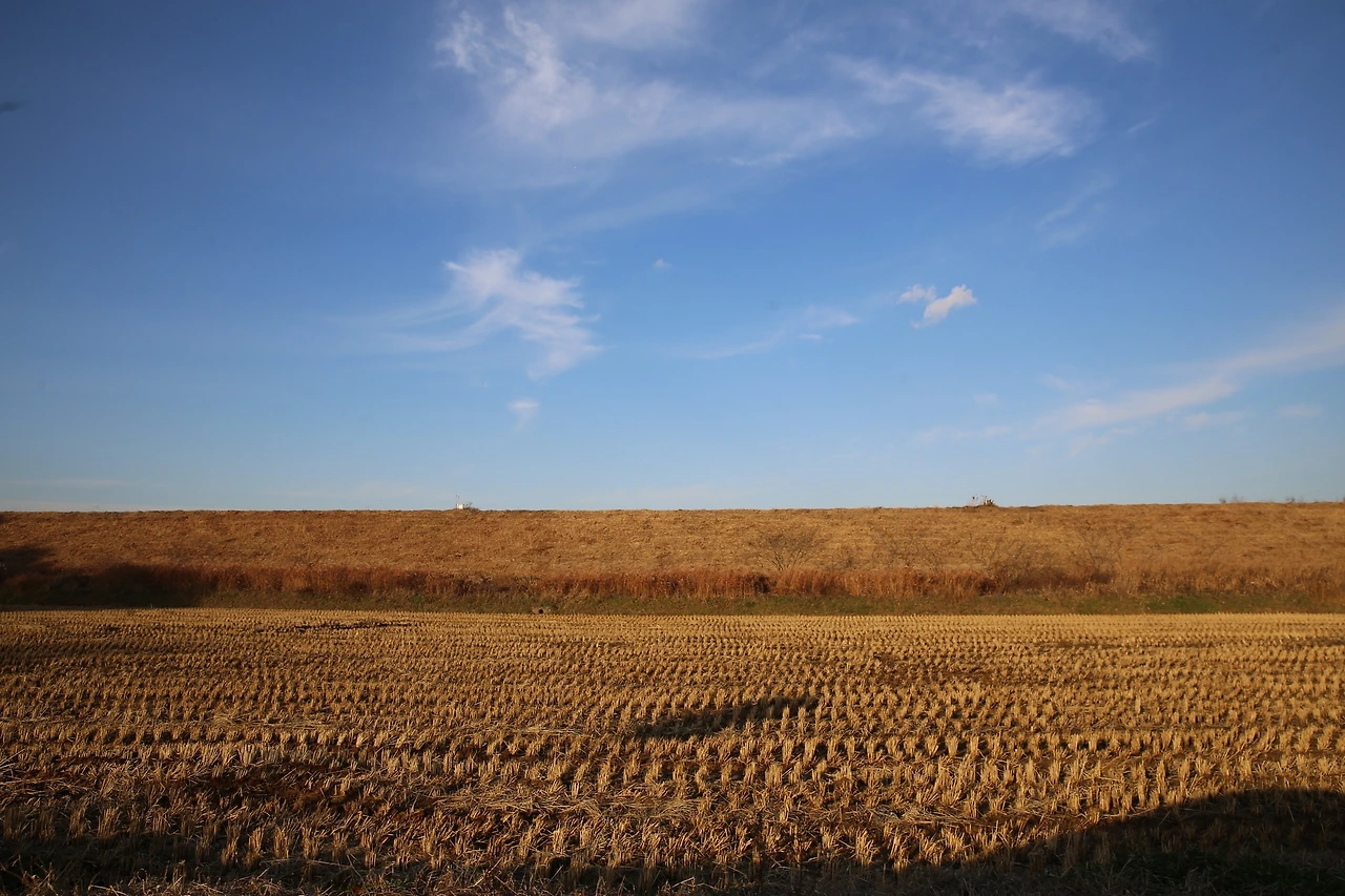 MG0A2942_новый размер.JPG