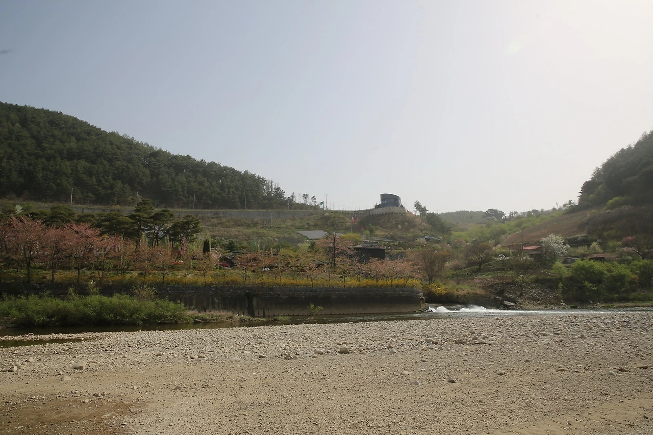 MG0A0024_новый размер.JPG