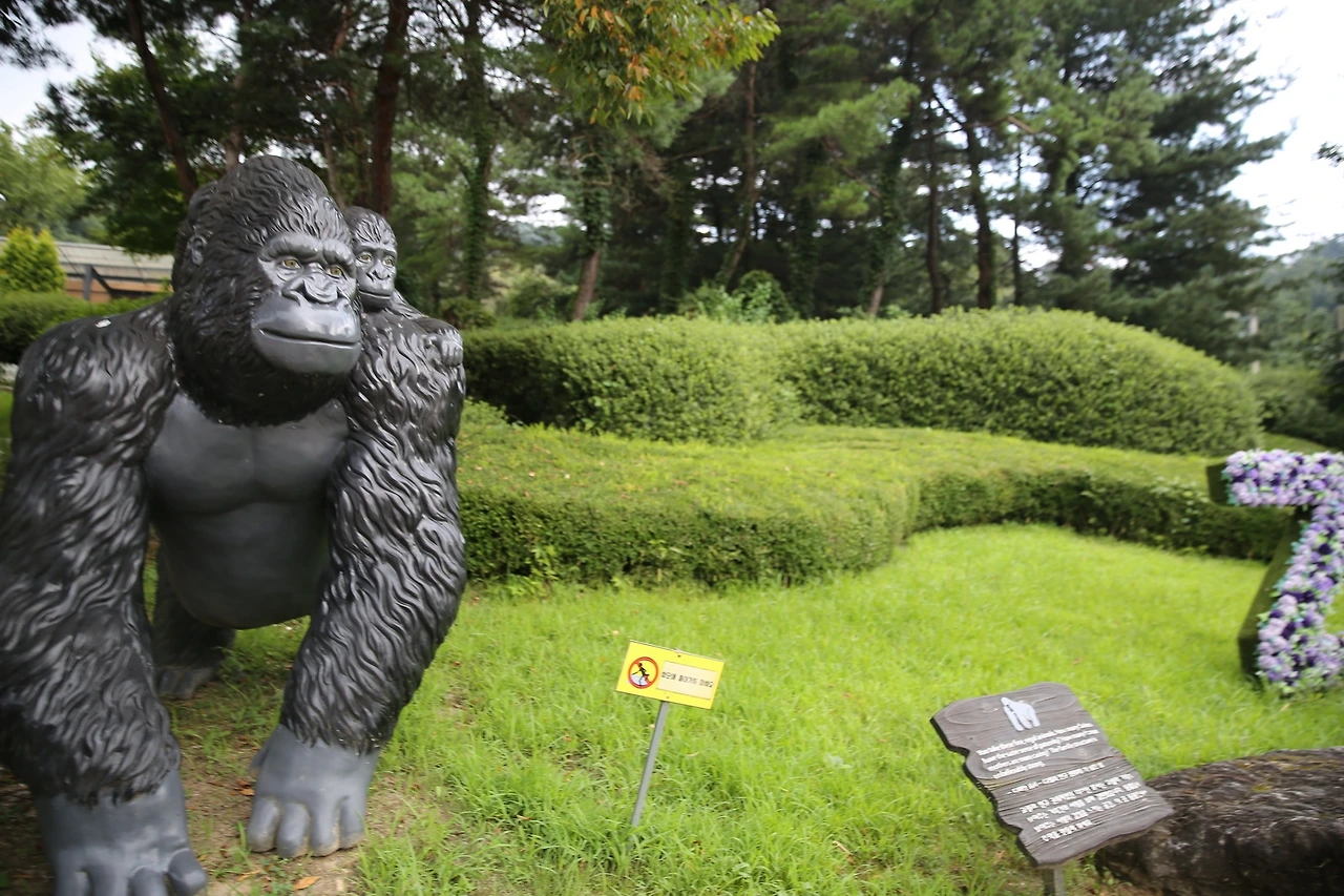 MG0A9599_новый размер.JPG