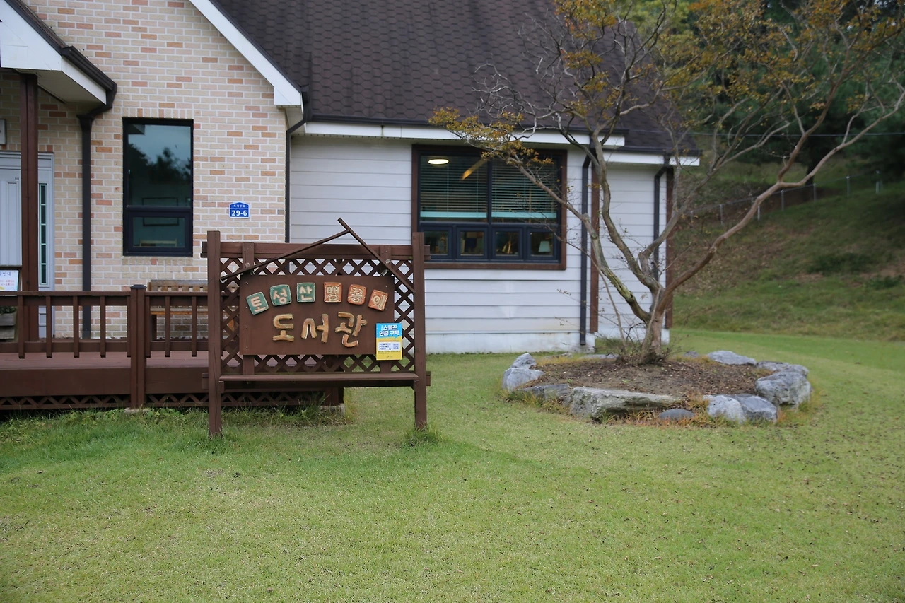 MG0A5401_новый размер.JPG