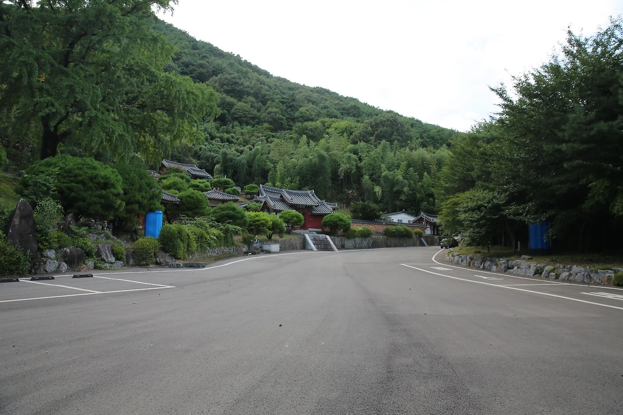 MG0A8129_новый размер.JPG