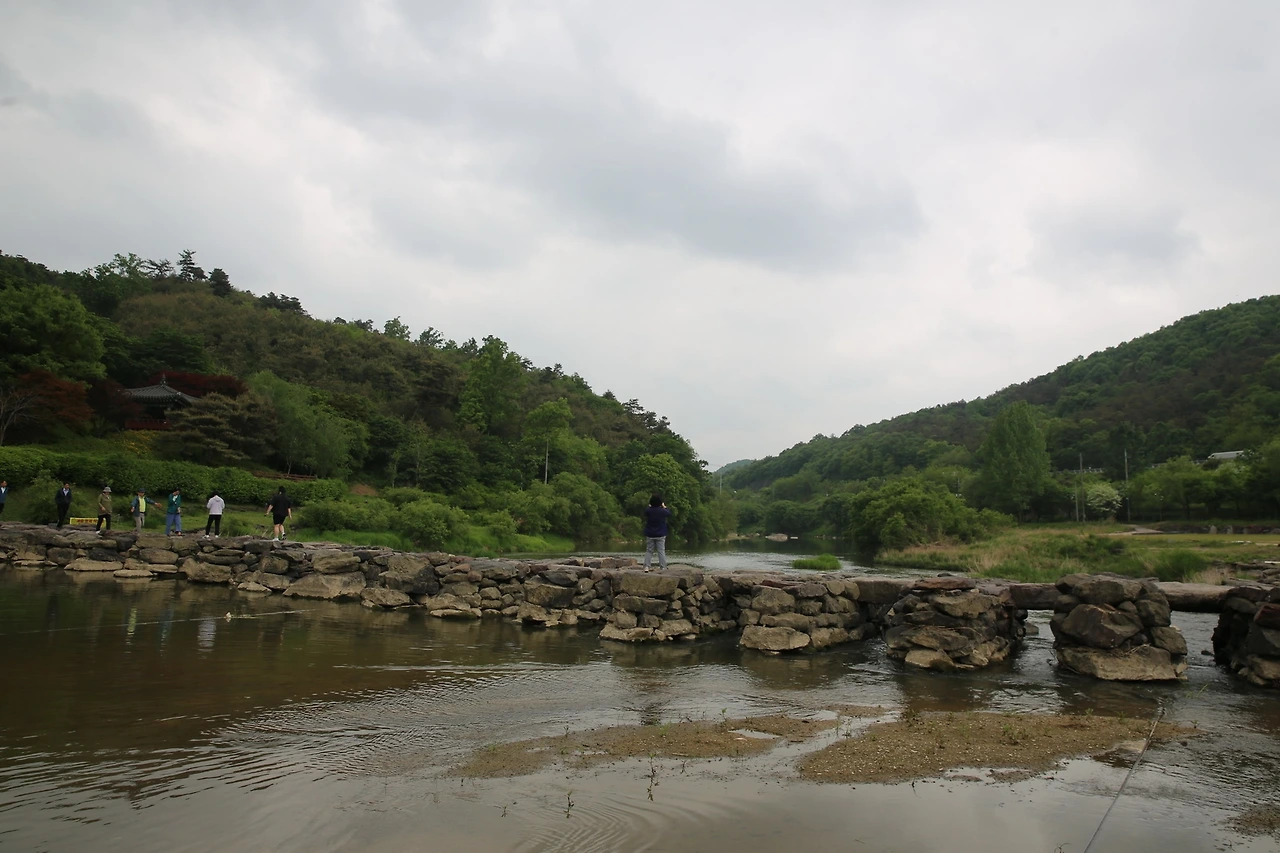 MG0A1531_новый размер.JPG