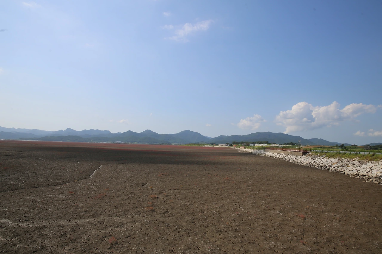 MG0A5301_новый размер.JPG