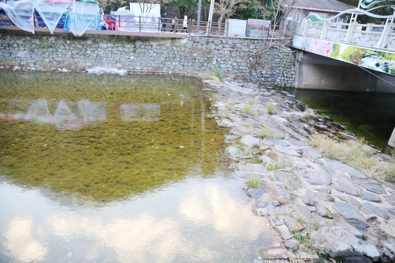 MG0A0678_новый размер_exposure.JPG