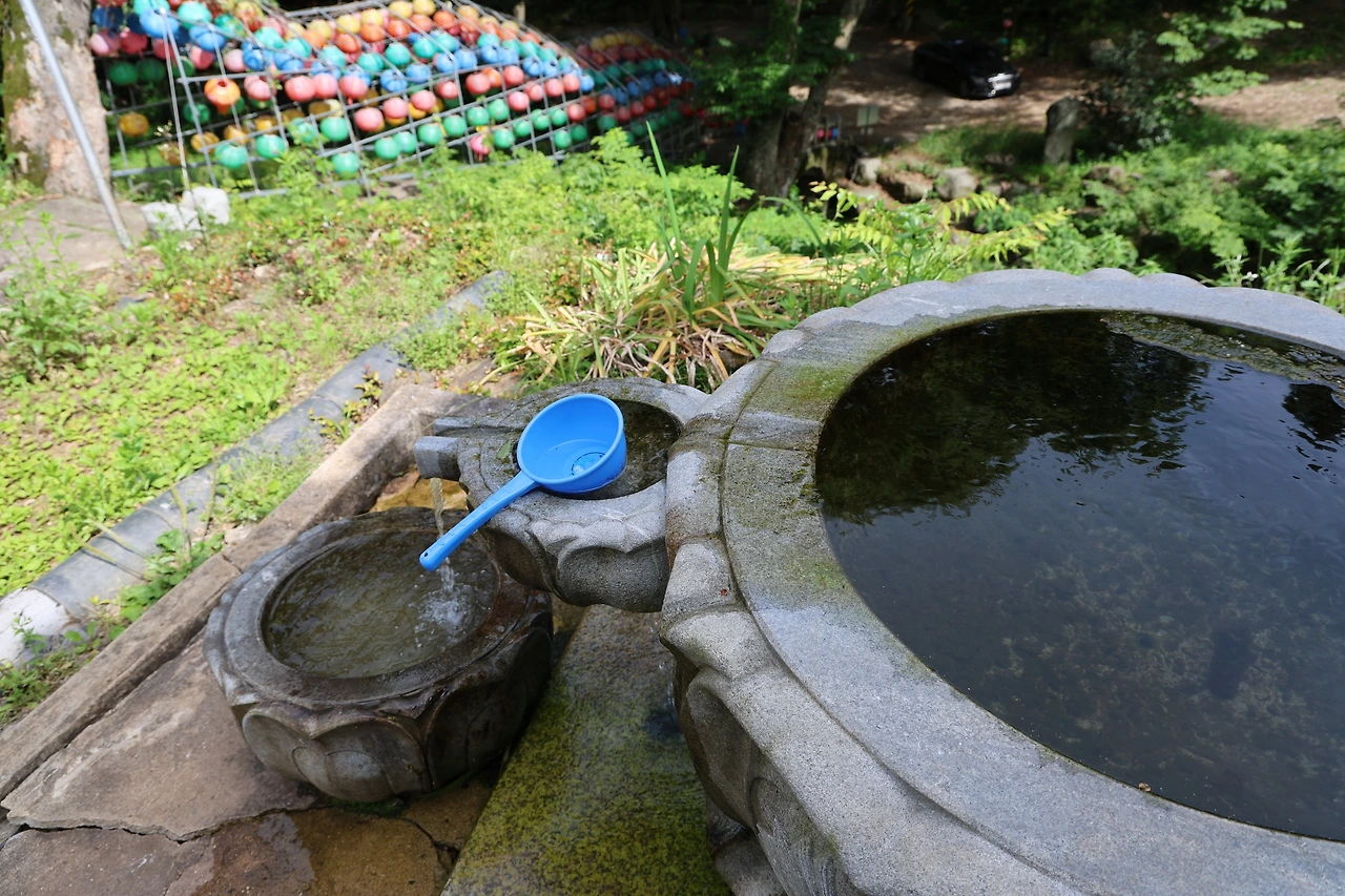 0R5A4111_новый размер.JPG