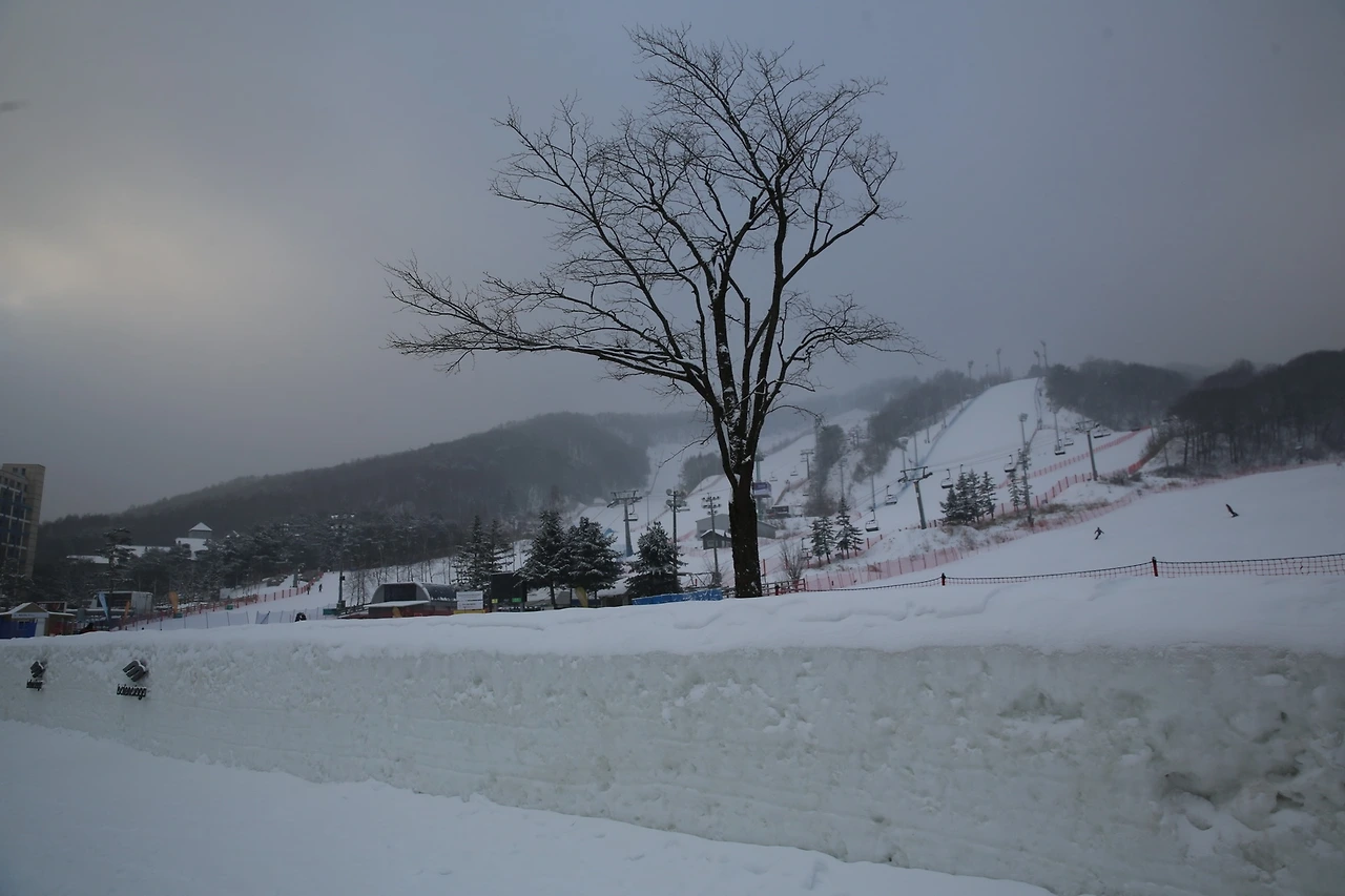 MG0A6258_новый размер.JPG