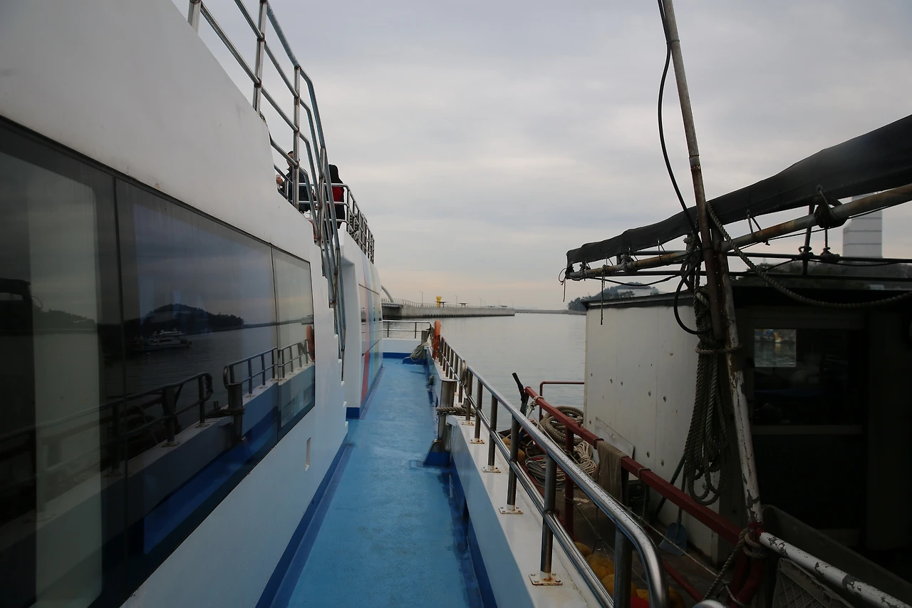 MG0A0510_новый размер.JPG