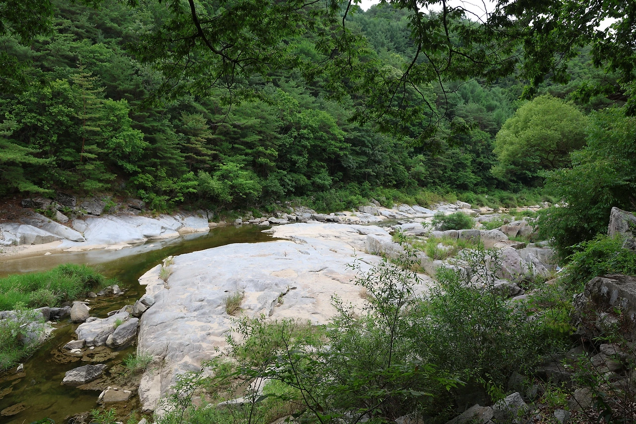 0R5A8605_новый размер.JPG