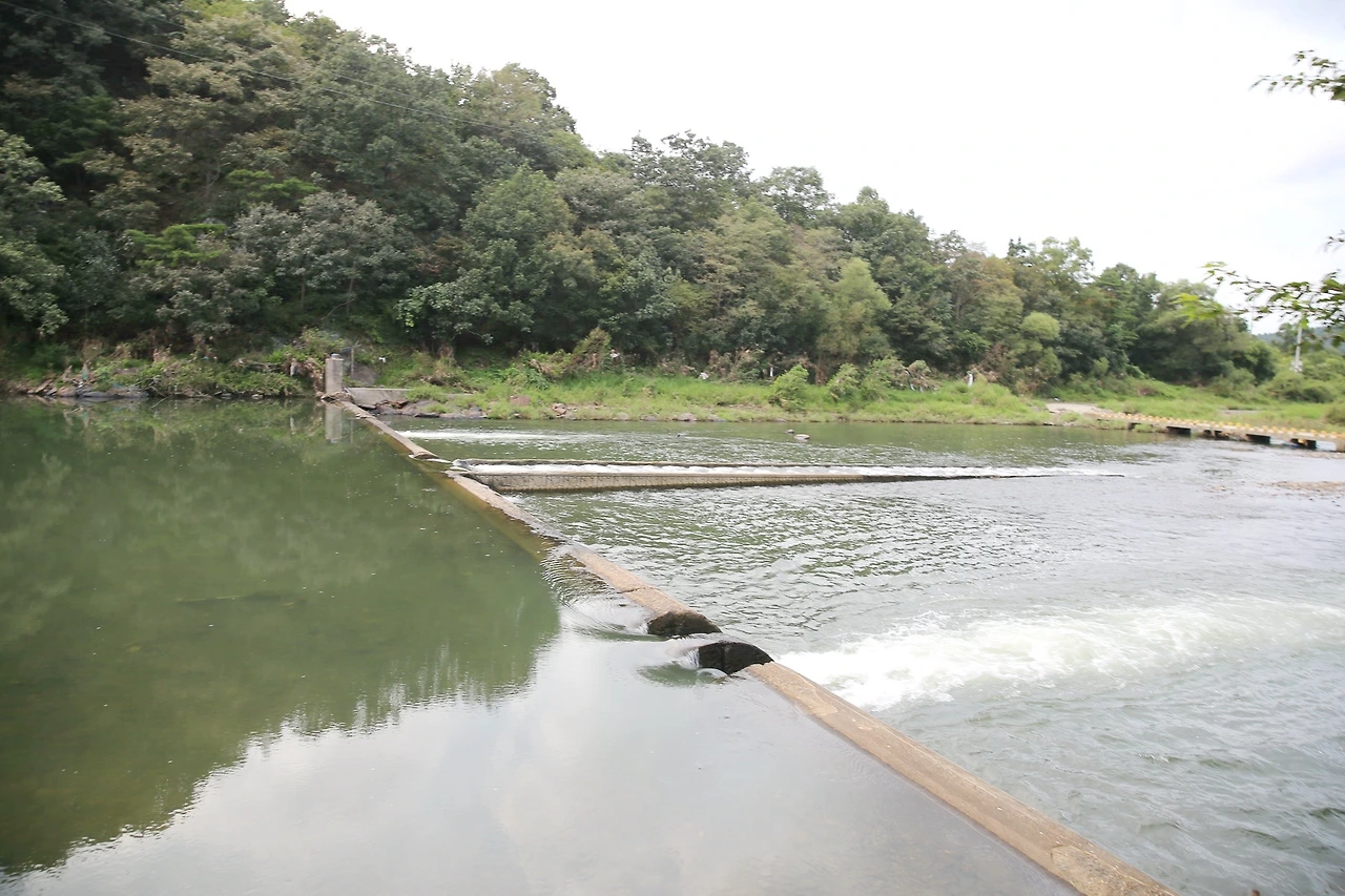 MG0A0603_новый размер_exposure.JPG