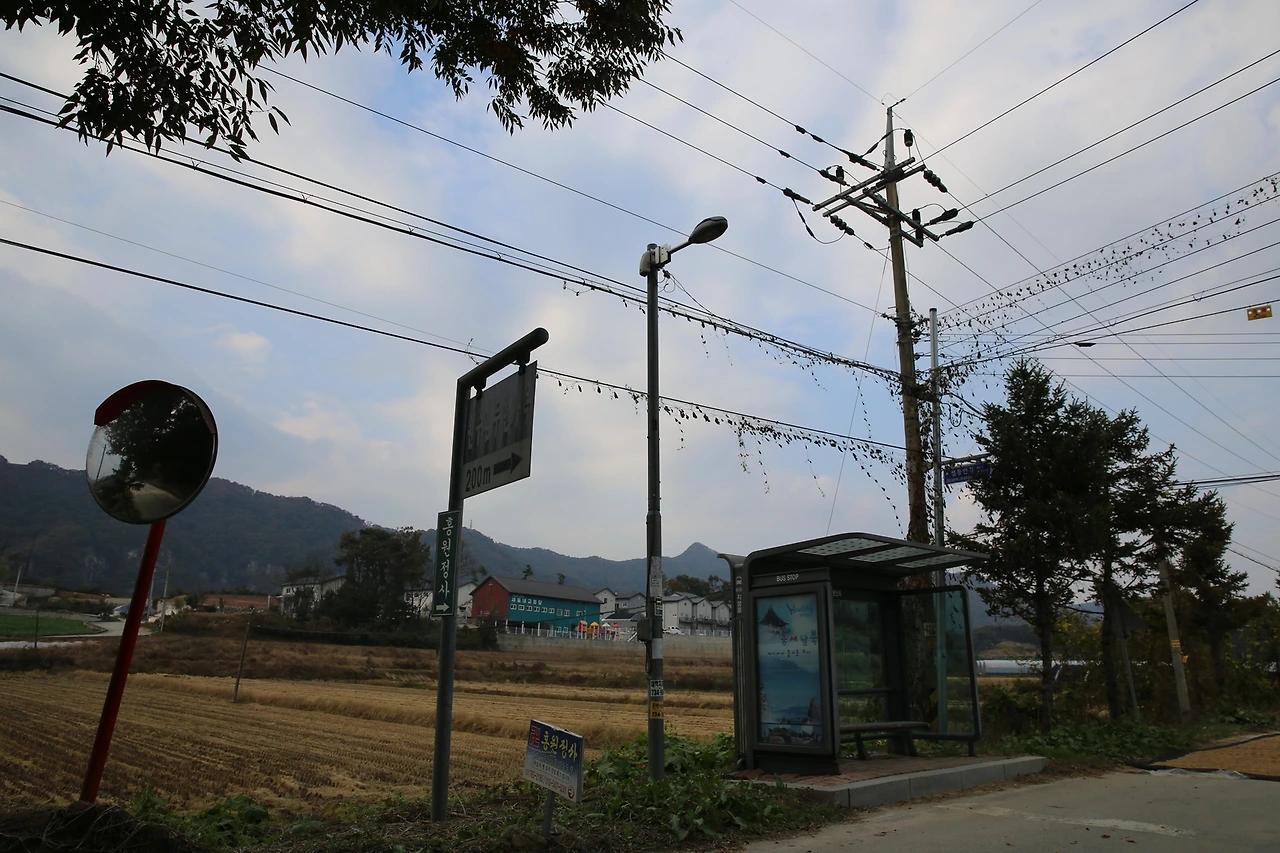 MG0A7579_новый размер.JPG