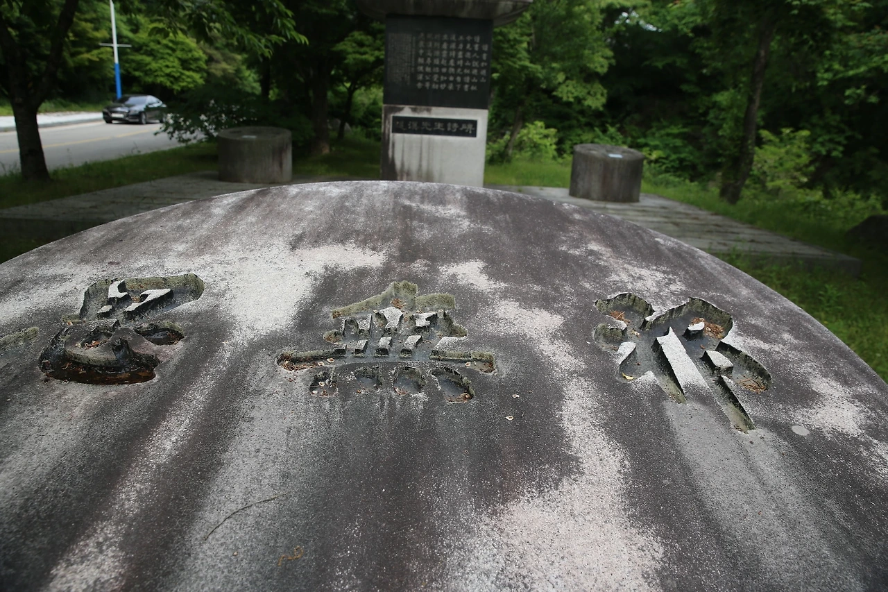 MG0A9901_новый размер.JPG