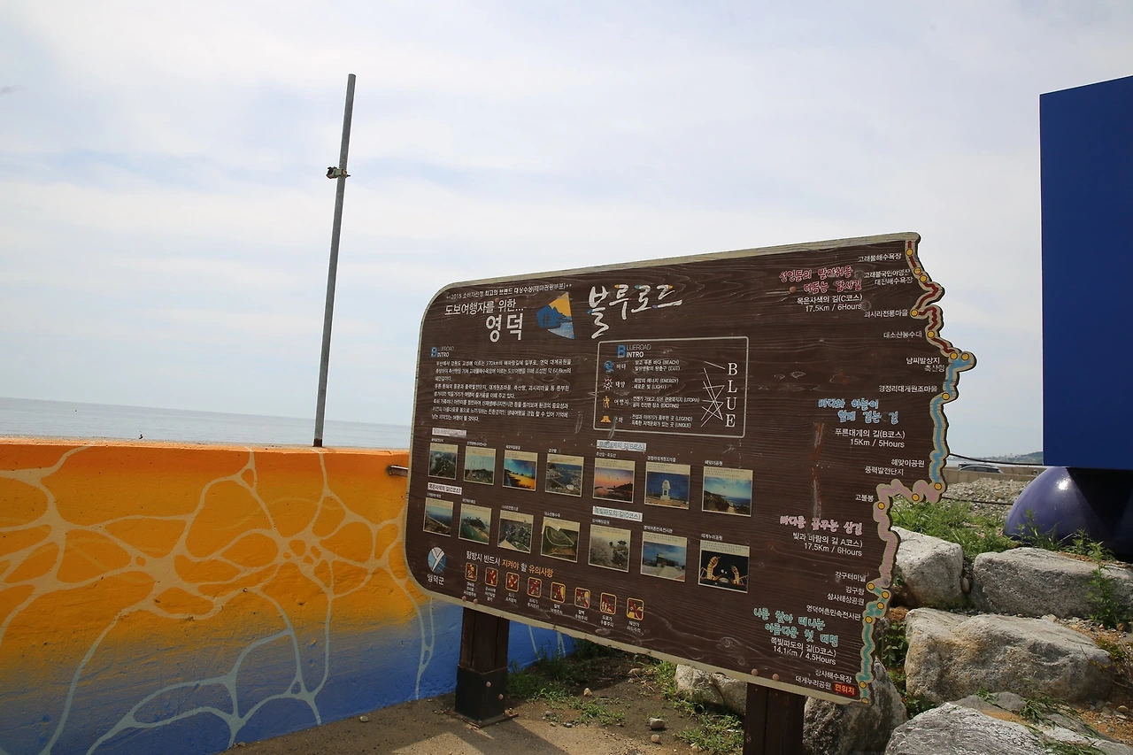 MG0A8428_новый размер.JPG