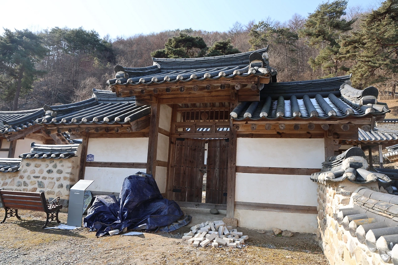 0R5A8063_новый размер.JPG