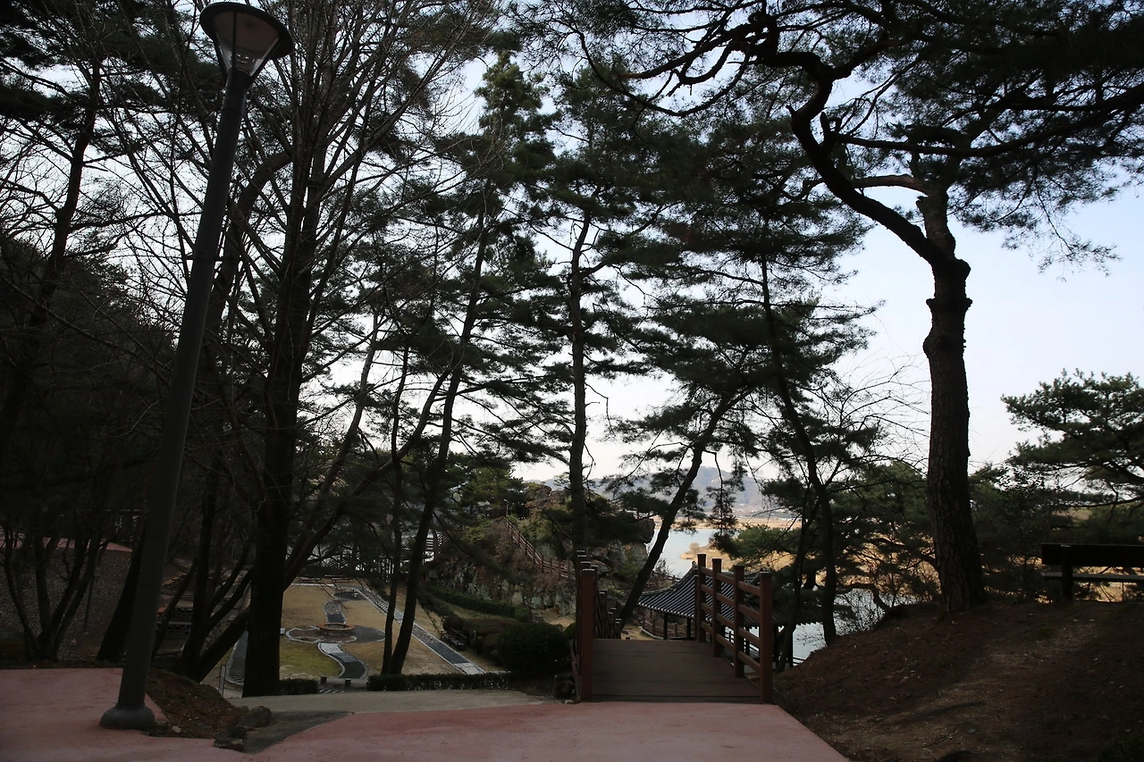 MG0A4890_новый размер.JPG