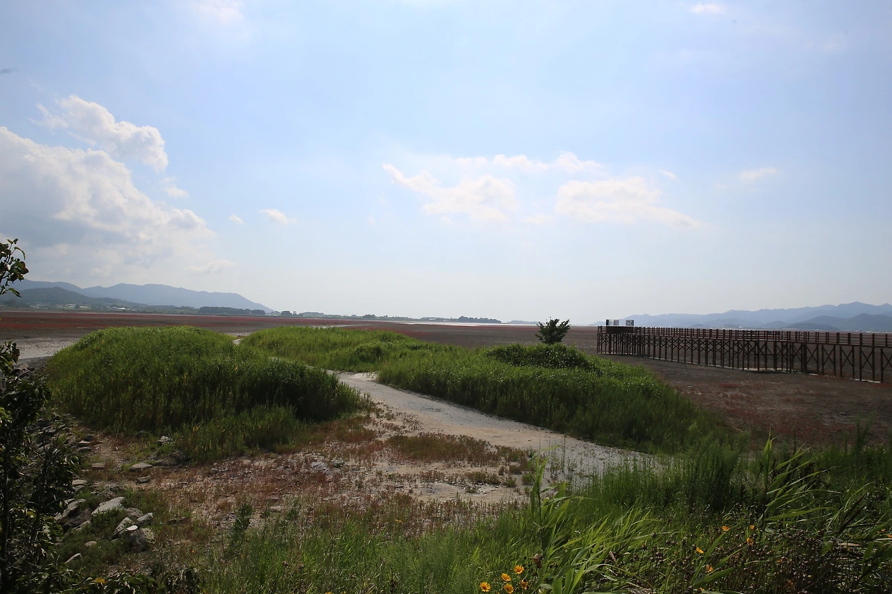 MG0A5288_новый размер.JPG