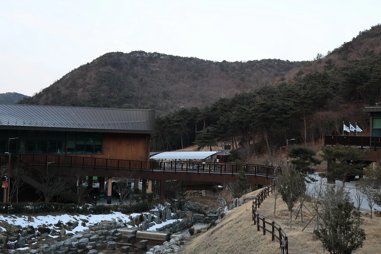 0R5A0051_новый размер.JPG