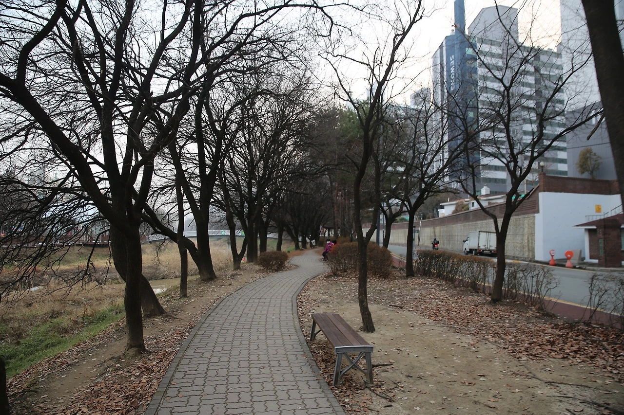 MG0A5586_новый размер.JPG