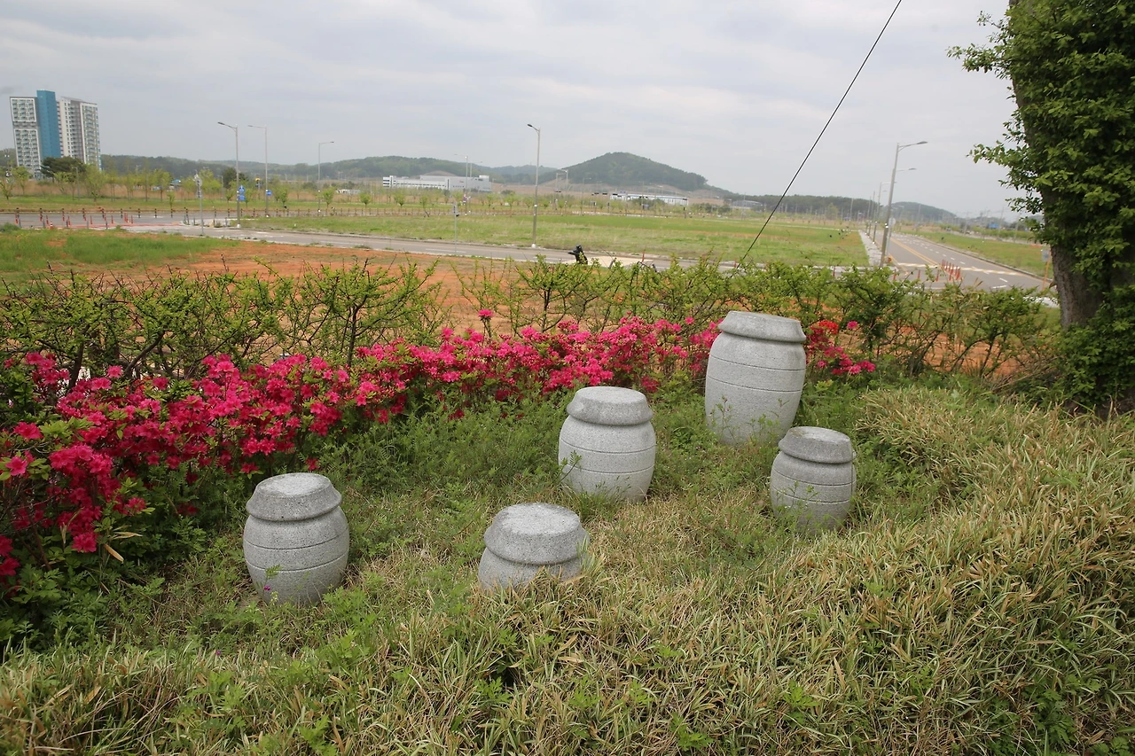 MG0A0527_новый размер.JPG