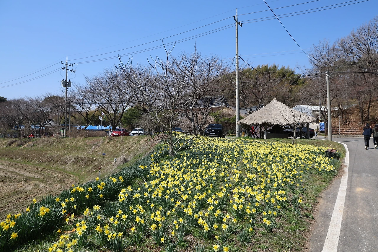 0R5A5957_новый размер.JPG