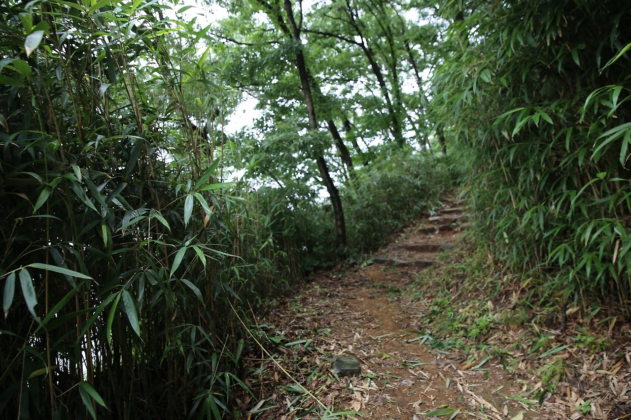 MG0A3587_новый размер.JPG