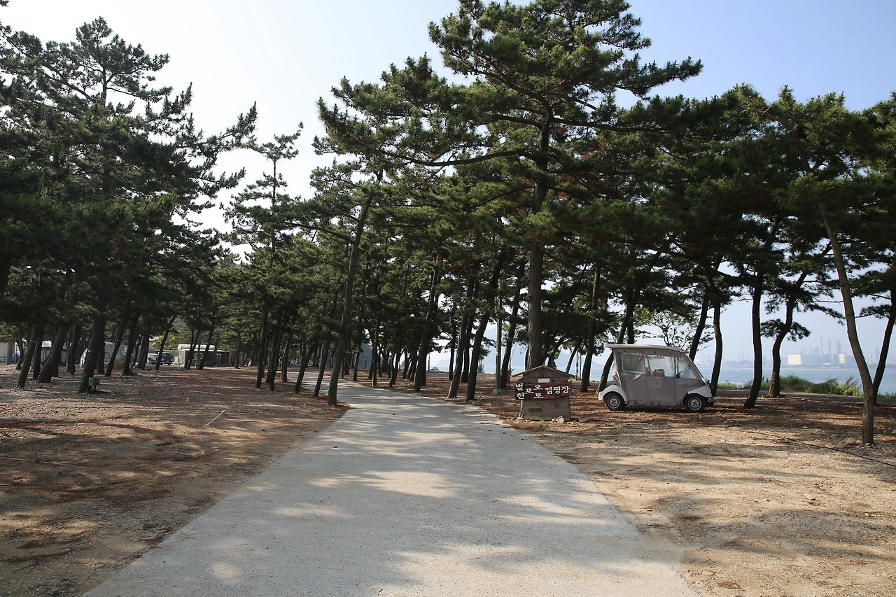 MG0A4038_новый размер.JPG