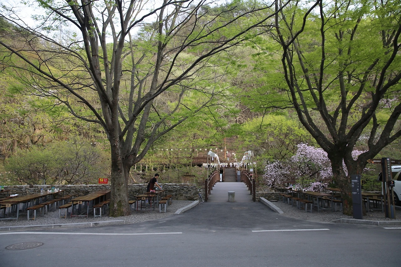 MG0A9507_новый размер.JPG