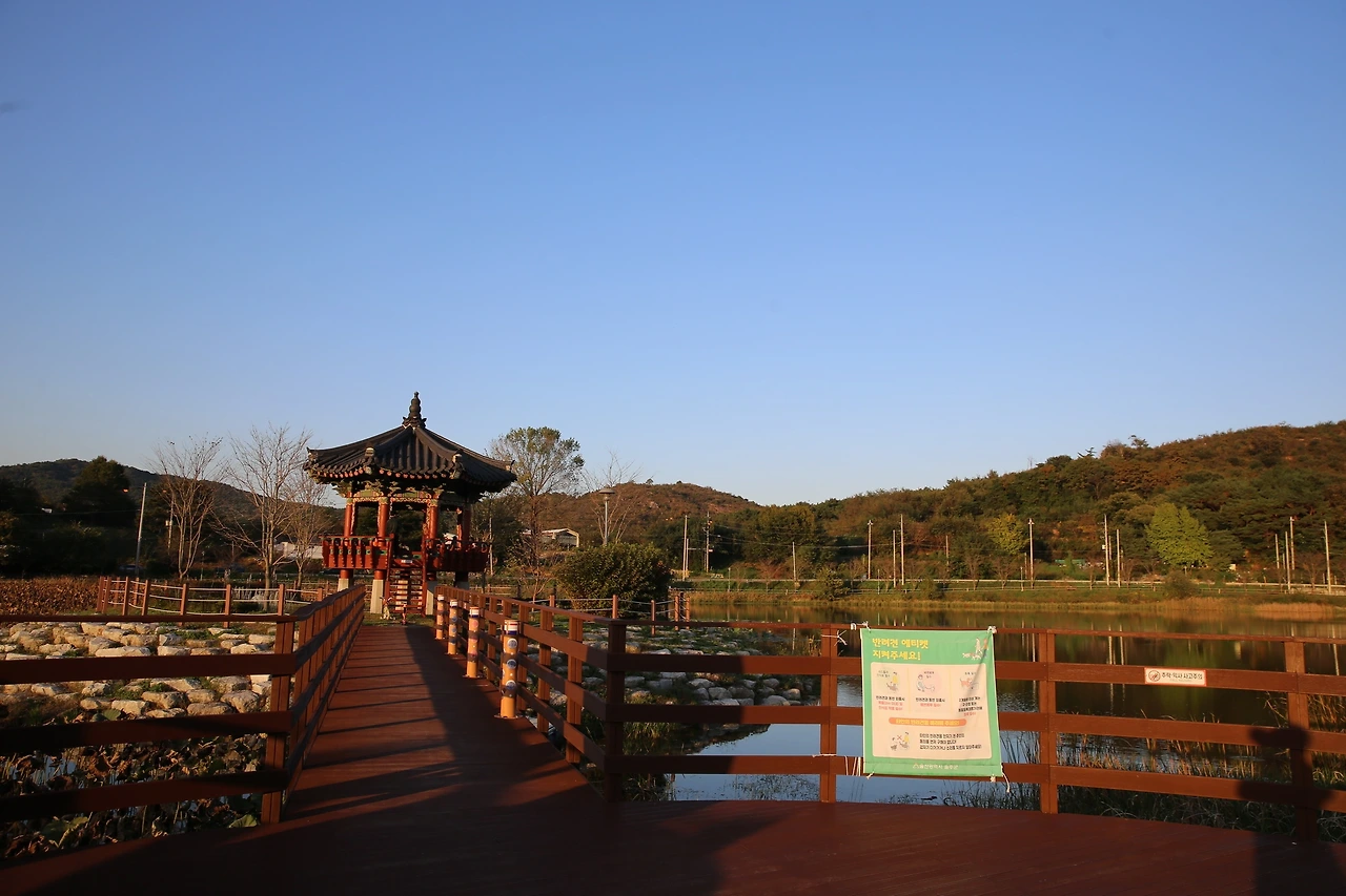 MG0A8325_новый размер.JPG