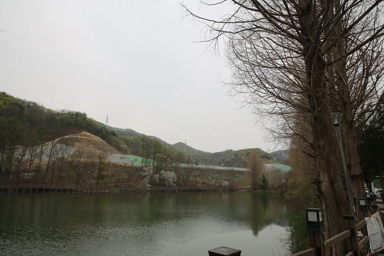 MG0A8592_новый размер.JPG