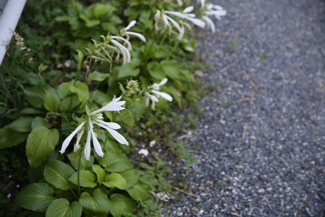 MG0A0628_новый размер.JPG