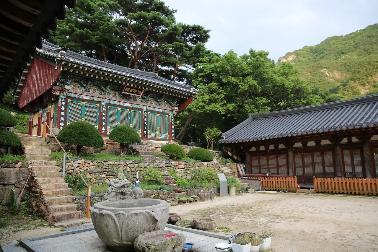 MG0A4547_новый размер.JPG