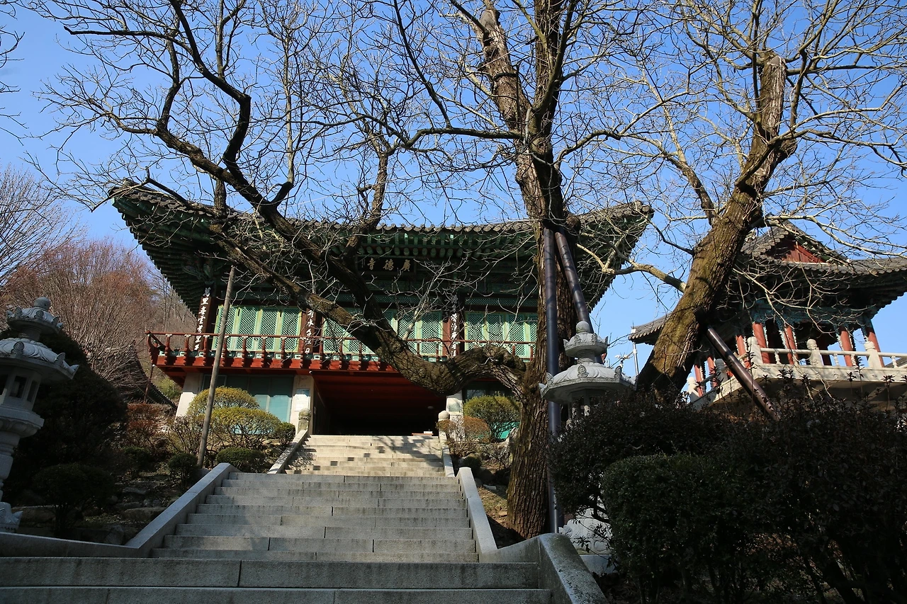 MG0A4390_новый размер.JPG