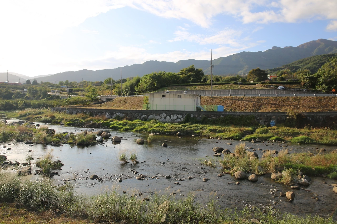 MG0A7998_новый размер.JPG