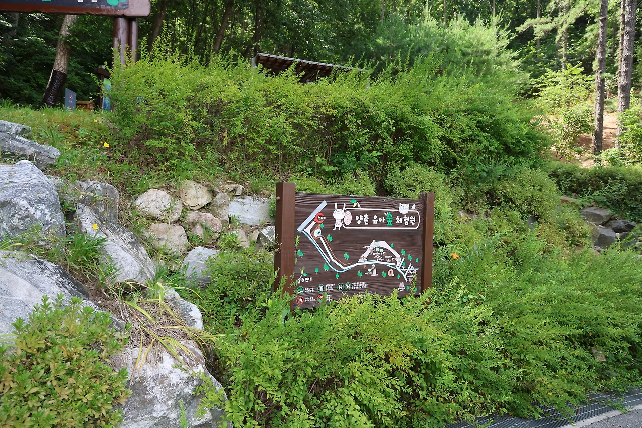 0R5A0193_новый размер.JPG