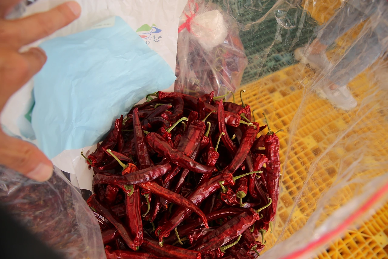 MG0A9270_новый размер.JPG