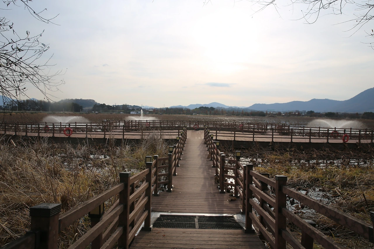 MG0A1790_новый размер.JPG