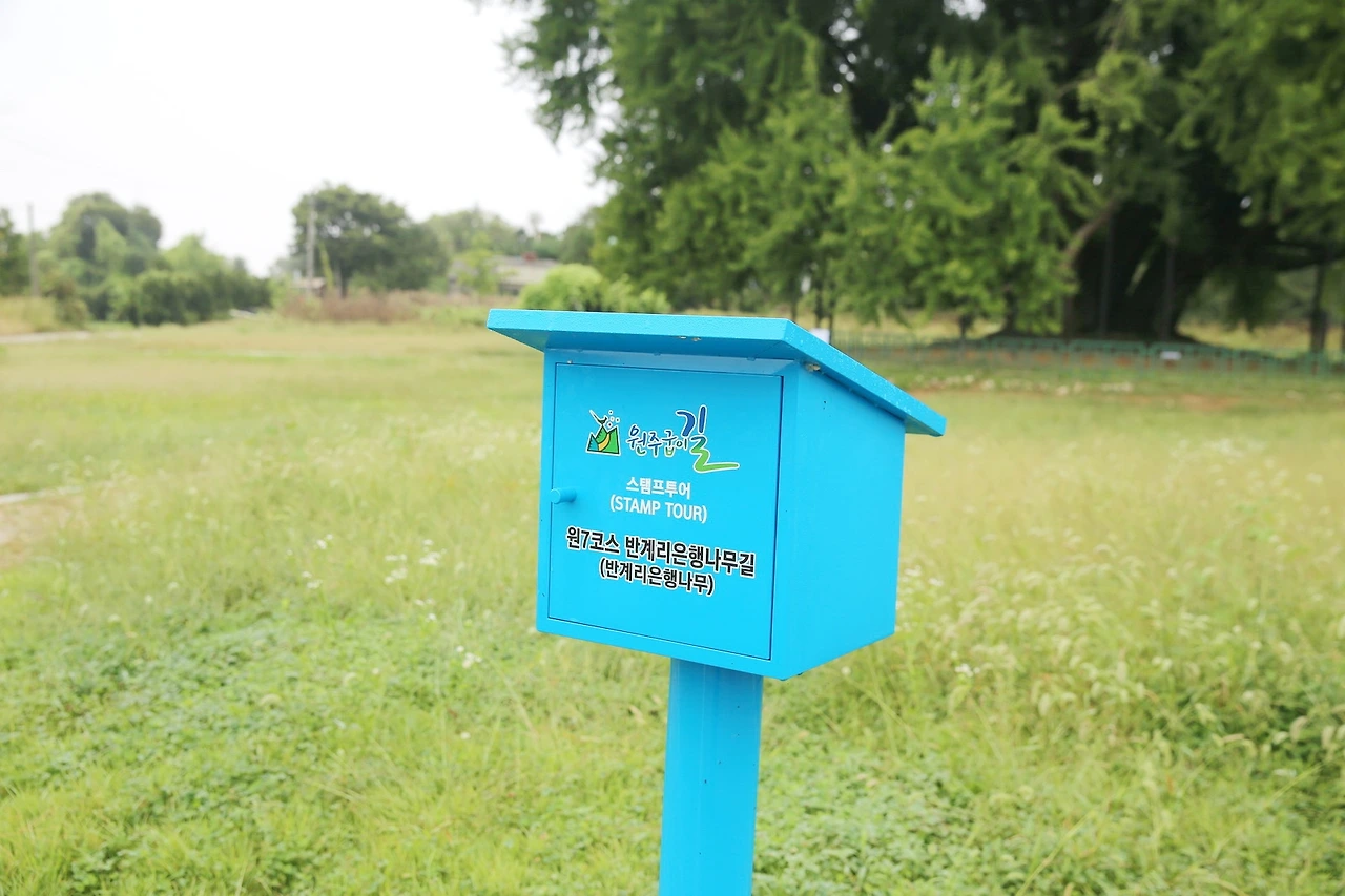 MG0A3569_новый размер_exposure.JPG