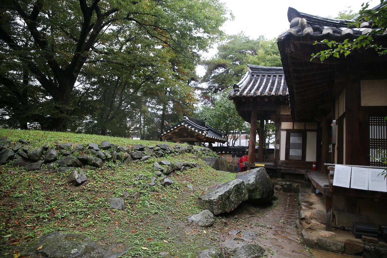 MG0A5967_новый размер.JPG