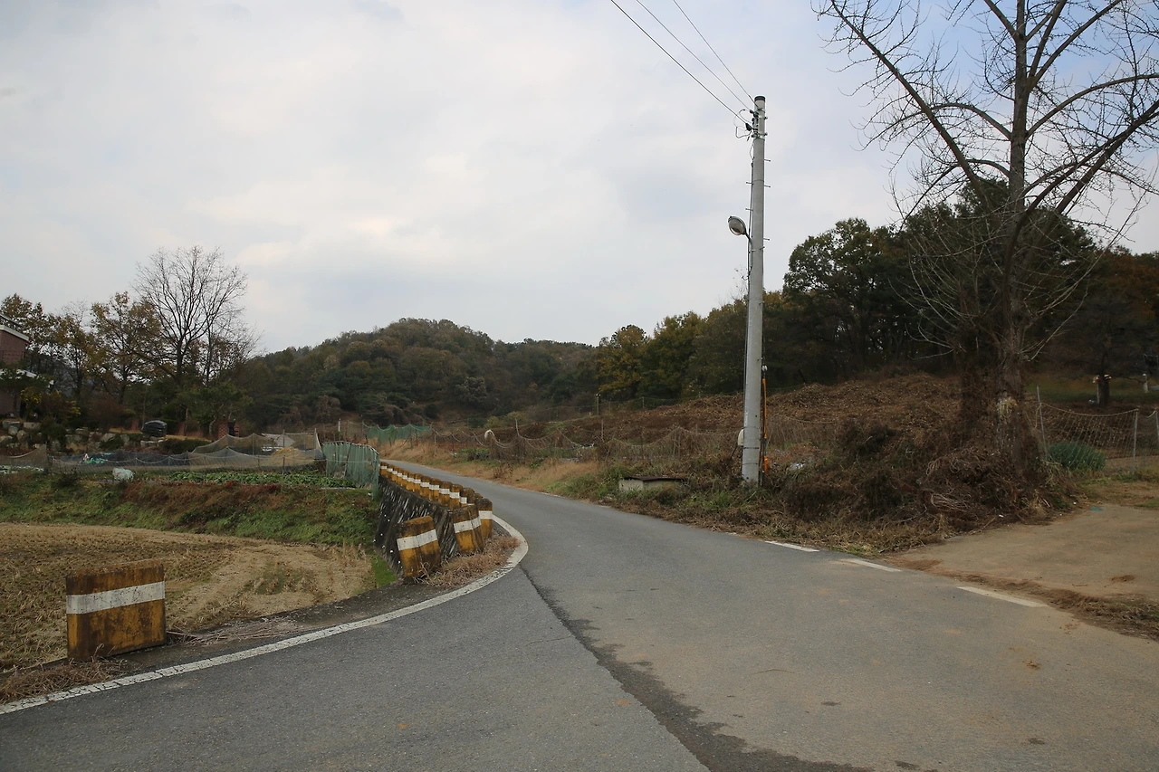 MG0A1239_новый размер.JPG