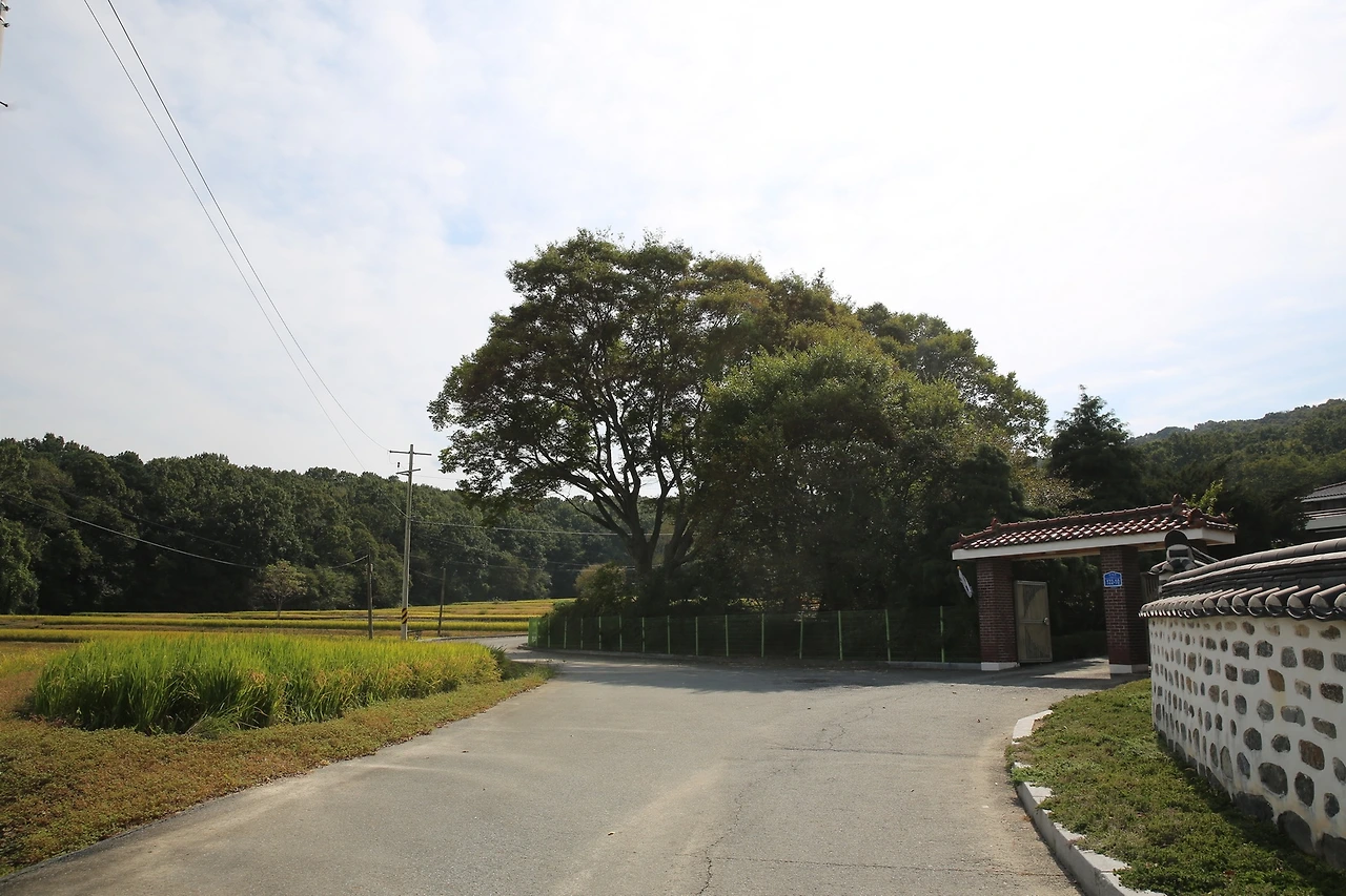 MG0A4782_новый размер.JPG