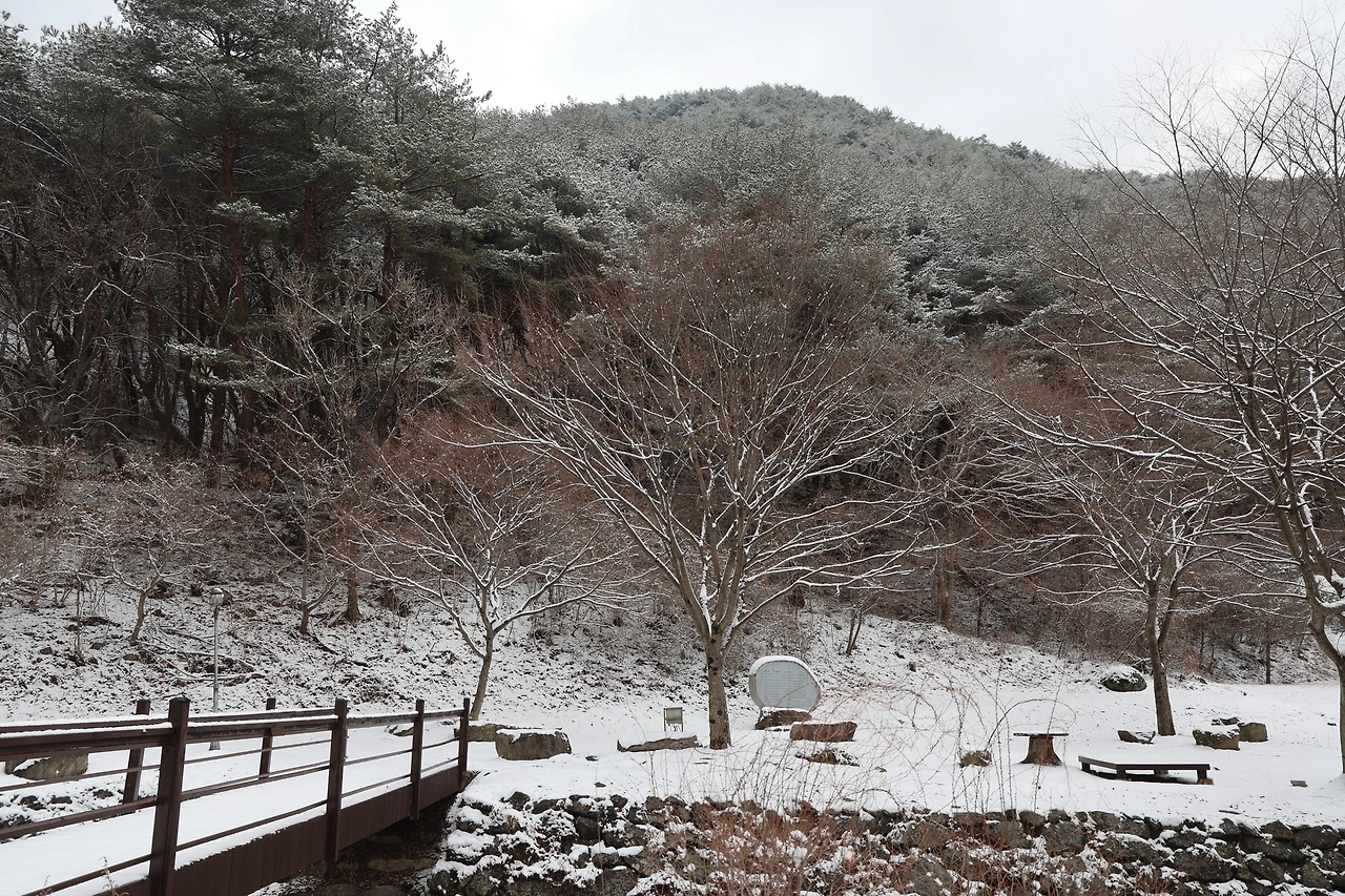 0R5A3151_новый размер.JPG