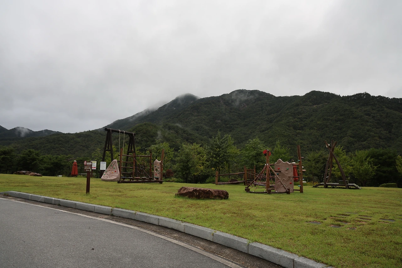 0R5A9088_новый размер.JPG