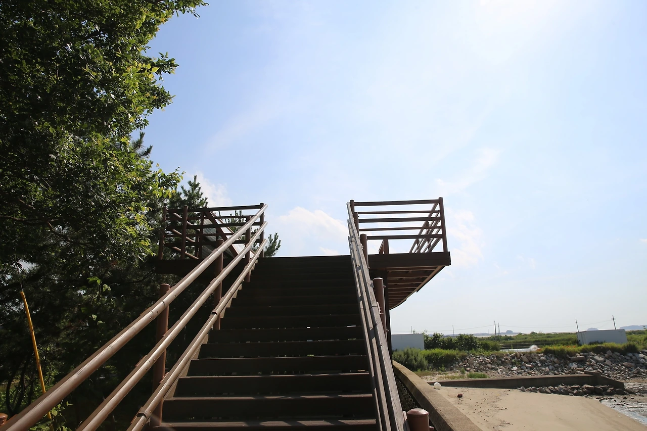 MG0A4586_новый размер.JPG