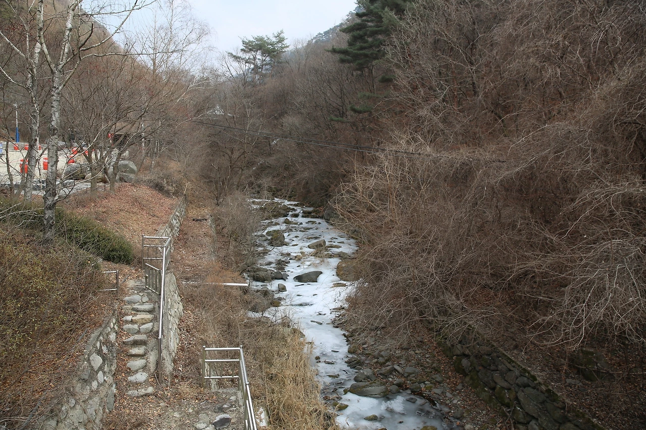 MG0A6412_новый размер.JPG