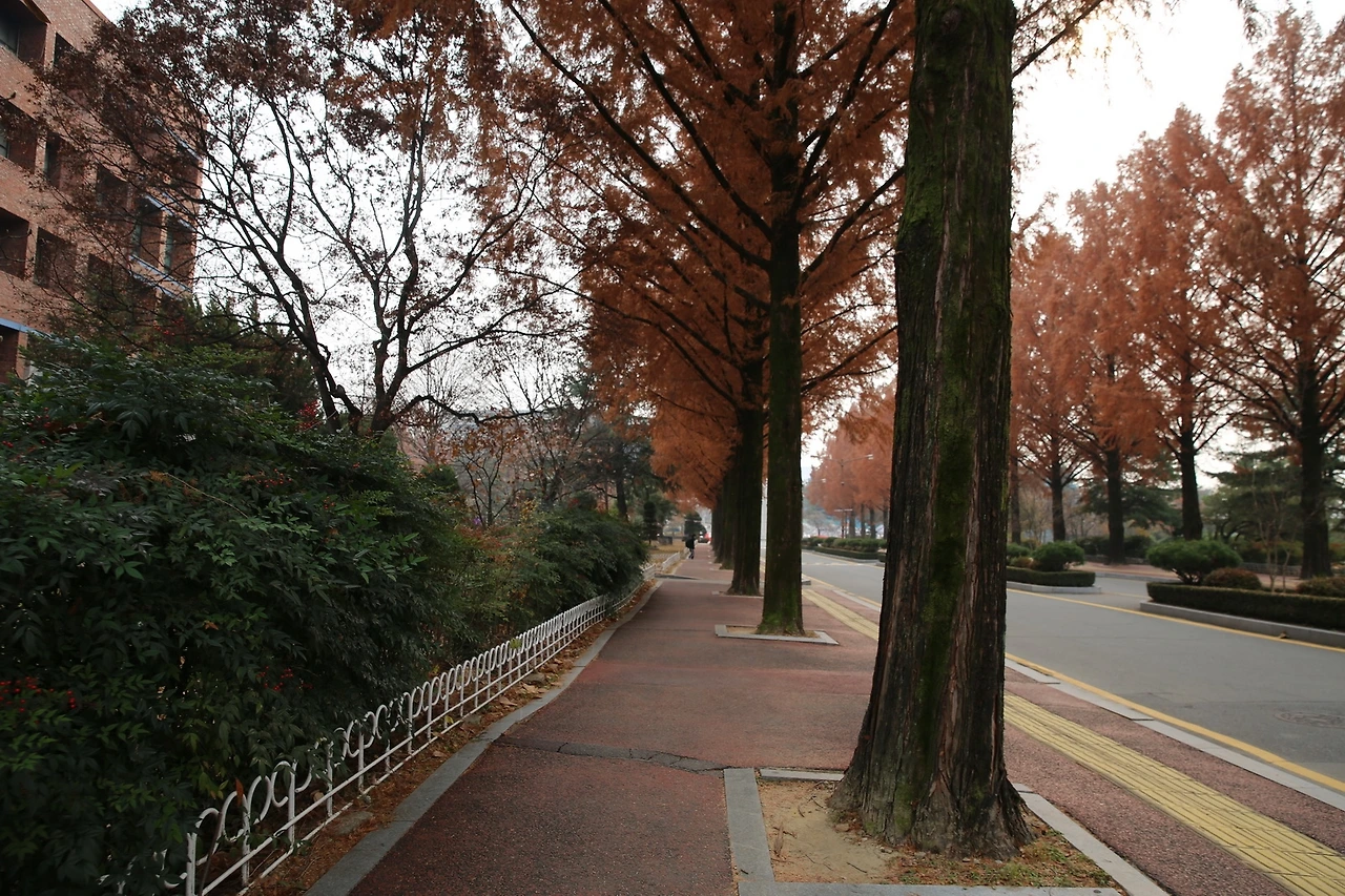 MG0A3605_новый размер.JPG