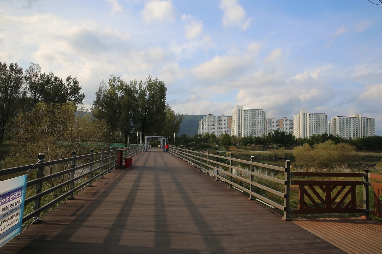 MG0A5700_новый размер.JPG