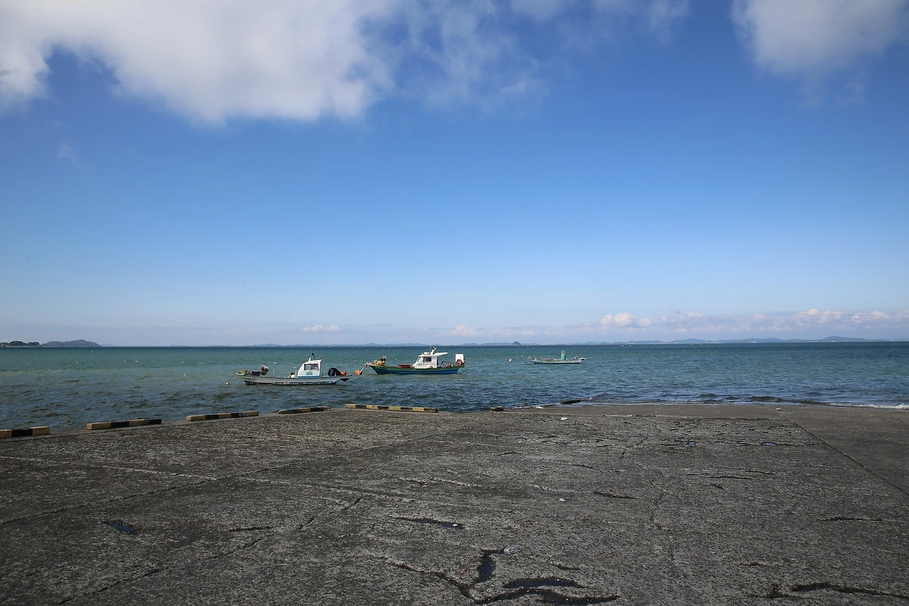 MG0A0973_новый размер.JPG