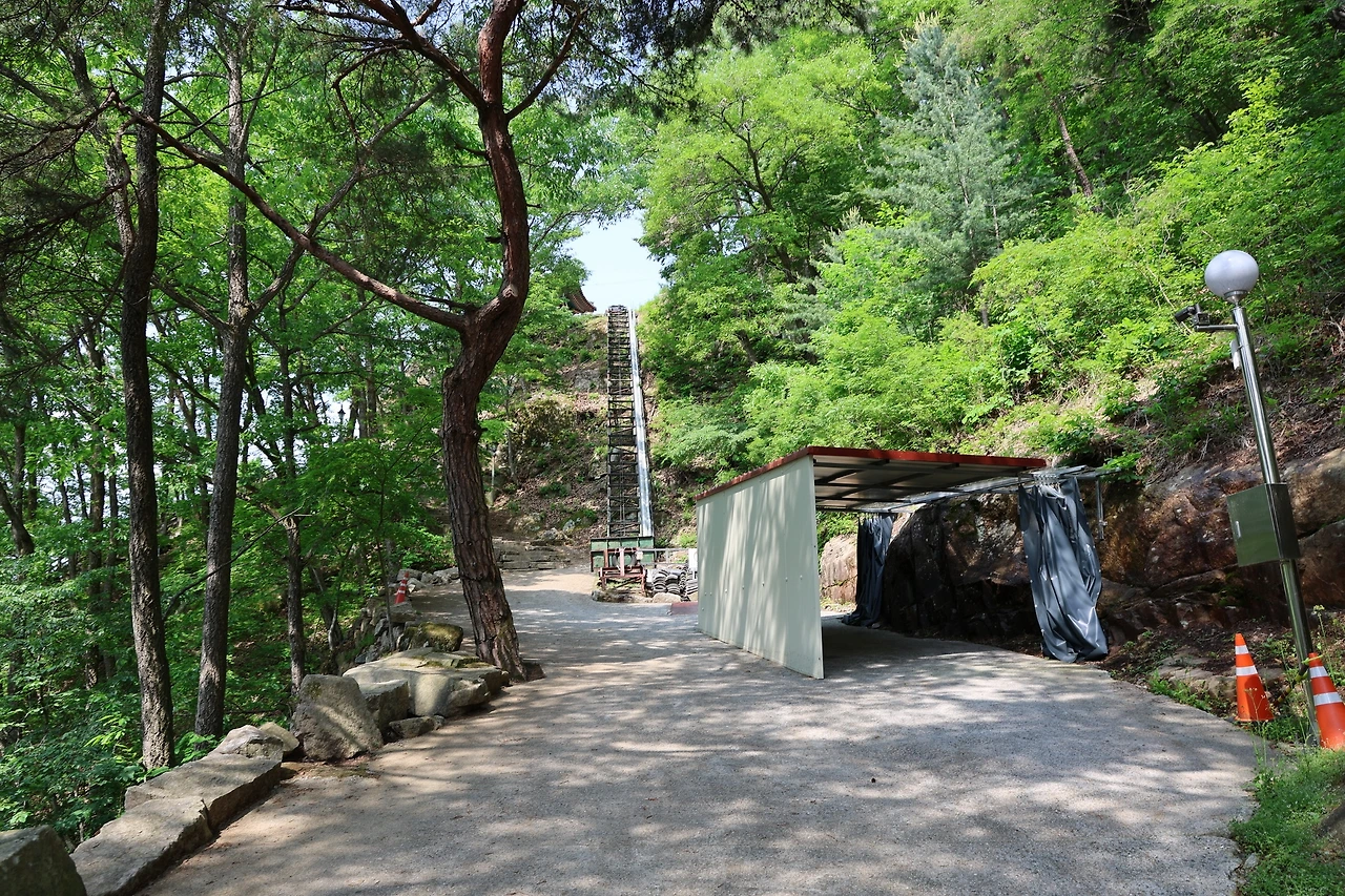 0R5A1340_новый размер.JPG