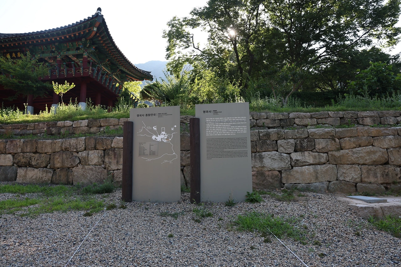 0R5A8073_новый размер.JPG