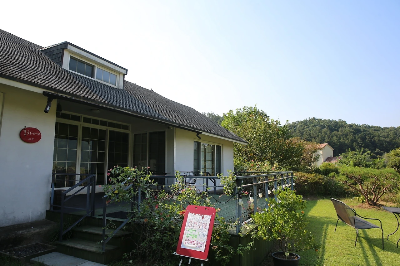 MG0A1564_новый размер.JPG